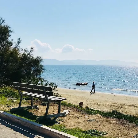 Daire Al Mare Da Enzo E Silvia *